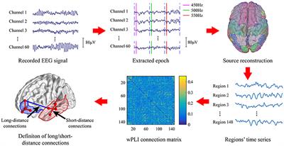 Cortical Areas Associated With Mismatch Negativity: A Connectivity Study Using Propofol Anesthesia